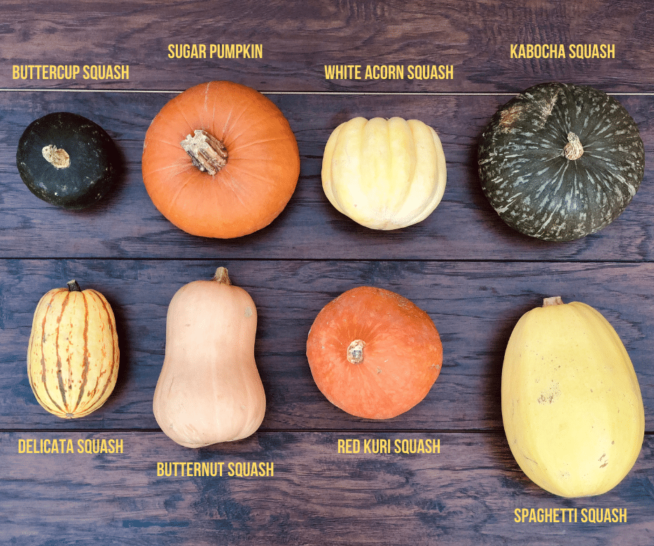 winter squash