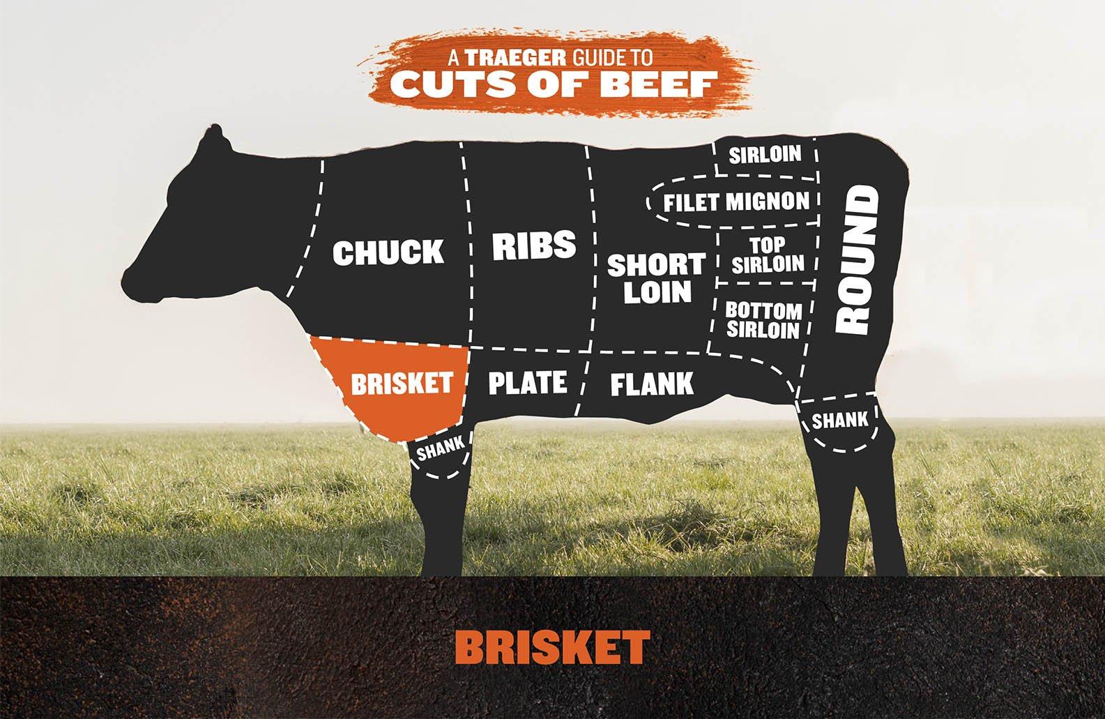 beef brisket cut diagram