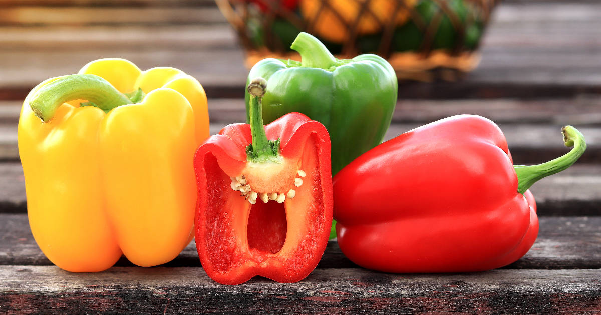 bell-pepper