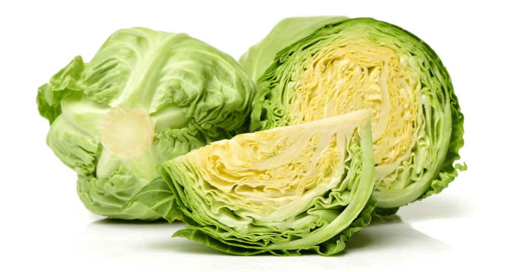 cabbage