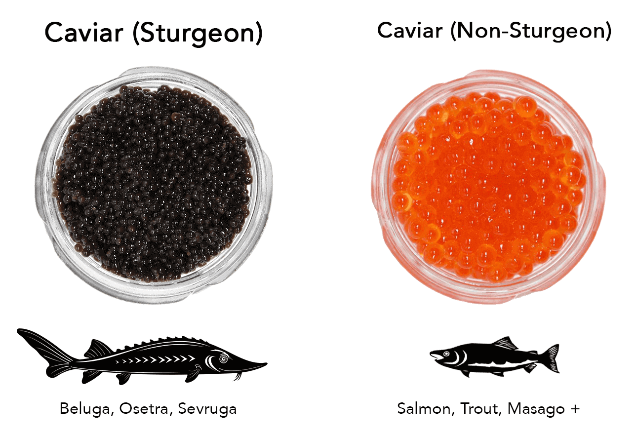 caviar