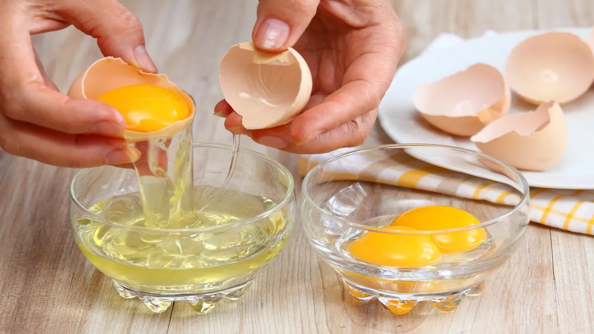 egg yolk vs white