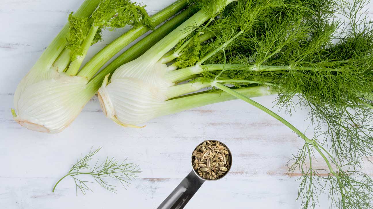 fennel and fennel seeds