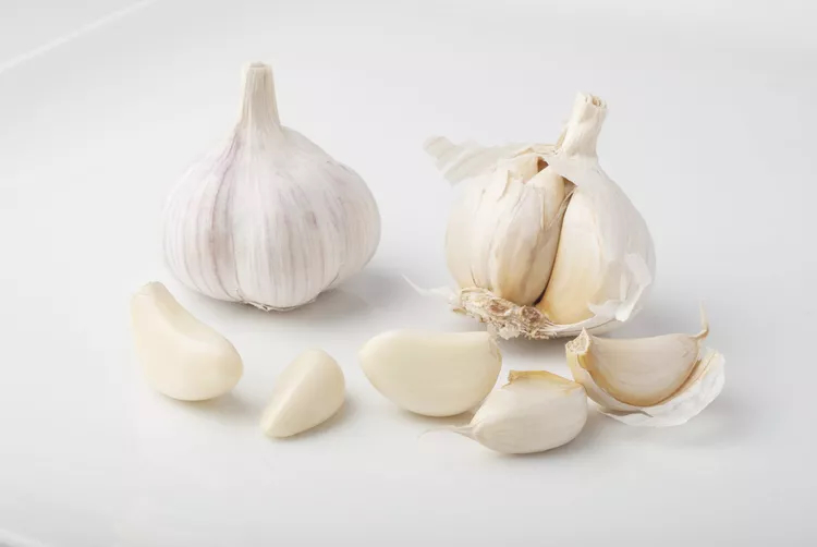 garlic