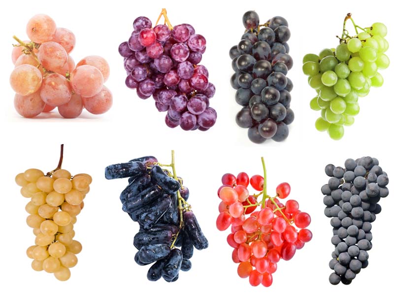 grapes