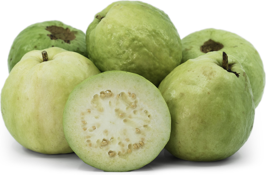 guava