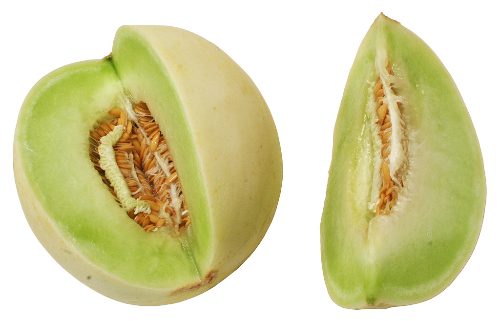 honeydew melon