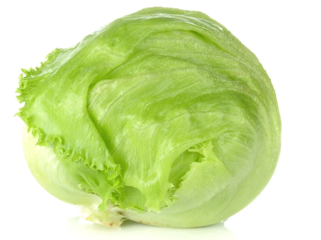 iceberglettuce