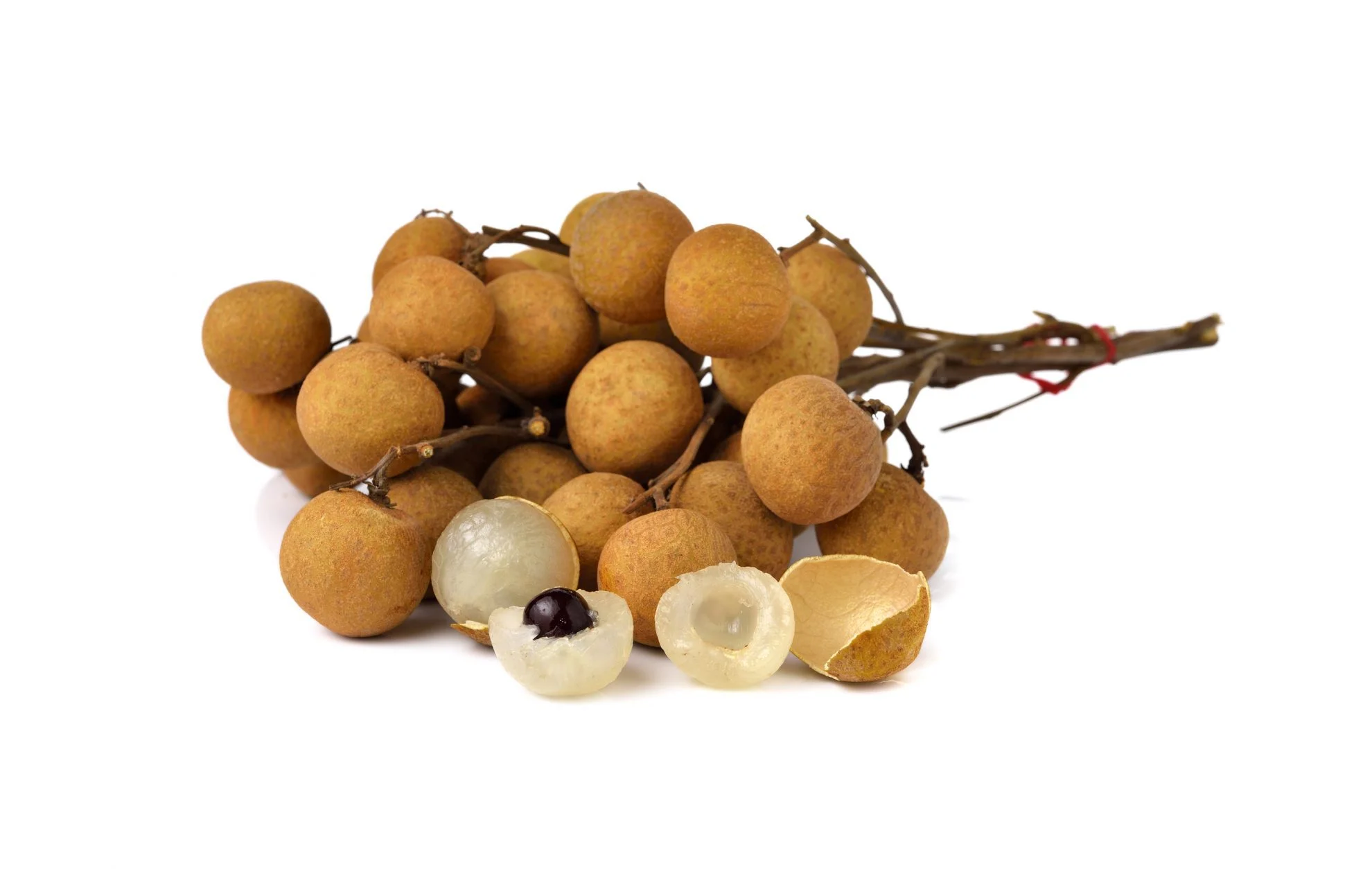 longan