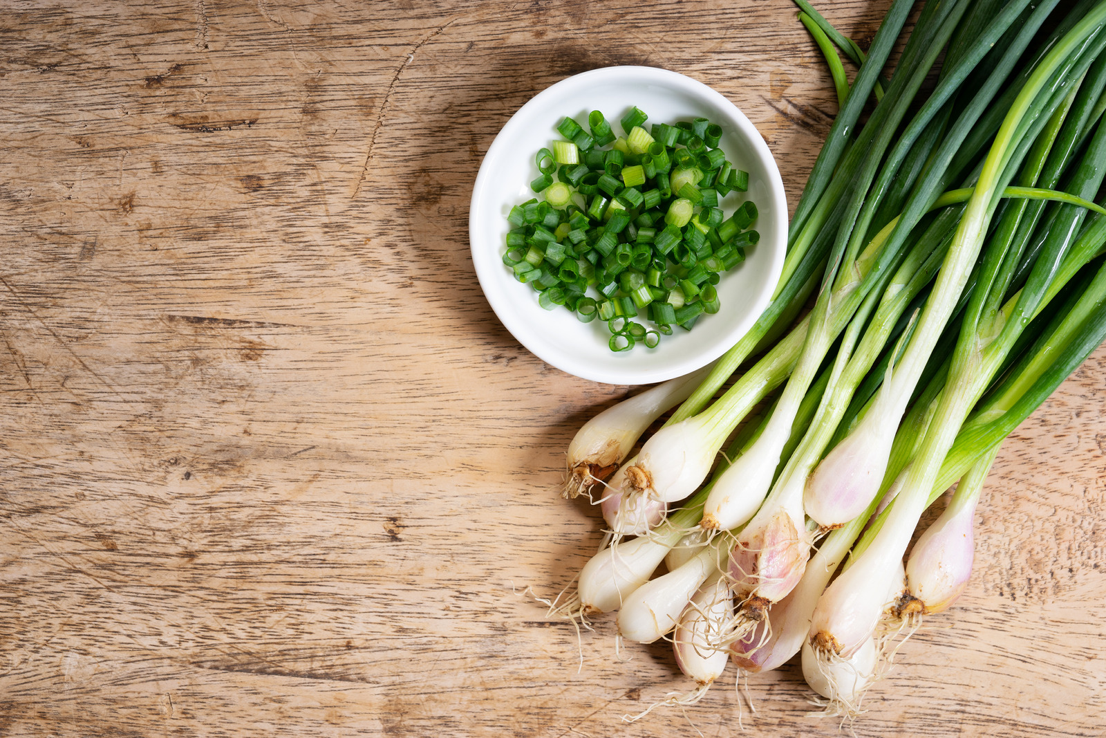 spring onion